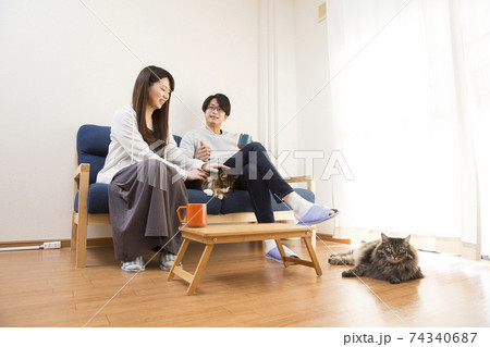 猫と生活、二匹の猫、長毛種のノルウェージャン 74340687