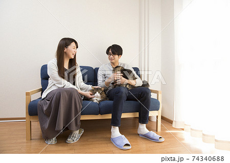 猫と生活、二匹の猫、長毛種のノルウェージャン 74340688