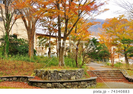 箱根町 箱根ロープウェイ桃源台駅と紅葉の写真素材