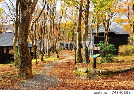 箱根町 芦ノ湖キャンプ村のケビン棟と紅葉 箱根町 芦ノ湖キャンプ村のケビン棟と紅葉 74340888