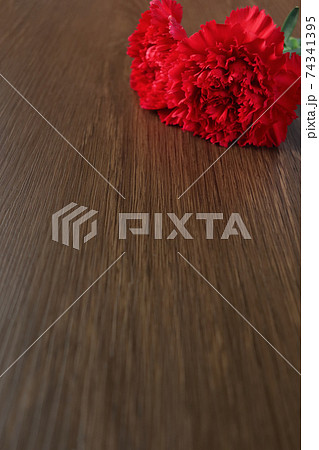 机に置かれたカーネーション 7　縦位置 74341395