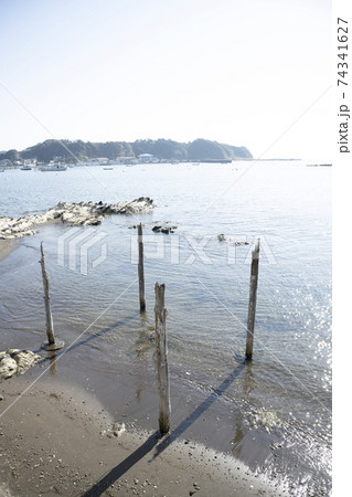 神奈川県三浦市江奈湾の風景 神奈川県三浦市江奈湾の風景 74341627