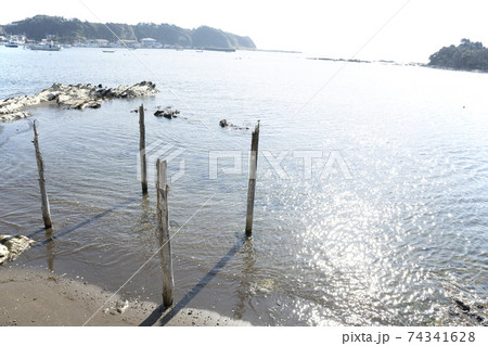 神奈川県三浦市江奈湾の風景 神奈川県三浦市江奈湾の風景 74341628
