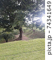 五稜郭公園の自然 74341649