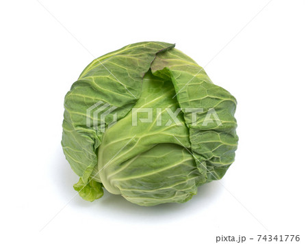 キャベツ キャベツ 74341776