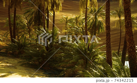 oasis with palm trees in desert 74342215
