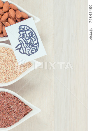 Drawing of brain and best nutritious food for health and good memory, place for inscriptions Drawing of brain and best nutritious food for health and good memory, place for inscriptions 74342400