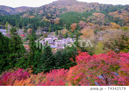 群馬県　秋　中之条町　四万温泉（南東部）を望む 74342579