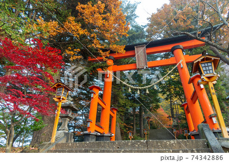 Fujiyoshida, Yamanashi, Japan - November 17, 2016- Autumn scene at entrance to Arakura Sengen Shrine, the path leading to the Chureito Pagoda 74342886