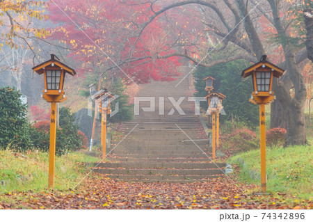 Fujiyoshida, Yamanashi, Japan - November 17, 2016- Autumn scene at entrance to Arakura Sengen Shrine, the path leading to the Chureito Pagoda Fujiyoshida, Yamanashi, Japan - November 17, 2016- Autumn scene at entrance to Arakura Sengen Shrine, the path leading to the Chureito Pagoda 74342896