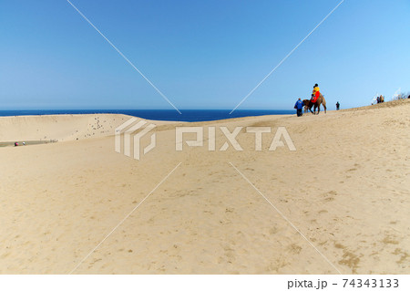 観光客で賑わう鳥取砂丘:鳥取県 観光客で賑わう鳥取砂丘:鳥取県 74343133