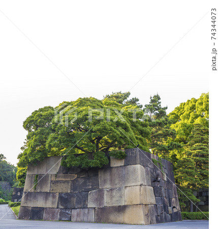 皇居東御苑 旧江戸城 中雀門跡 中之門跡 二の丸 三の丸 皇居附属庭園 石垣 皇居東御苑 旧江戸城 中雀門跡 中之門跡 二の丸 三の丸 皇居附属庭園 石垣 74344073