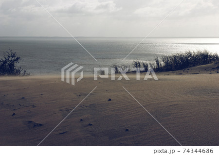 Wind in the Neringa dunes in autumn 74344686