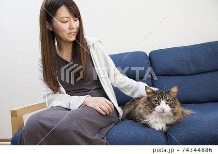 ペットの猫と女性、飼い猫、ノルウェージャン 74344886