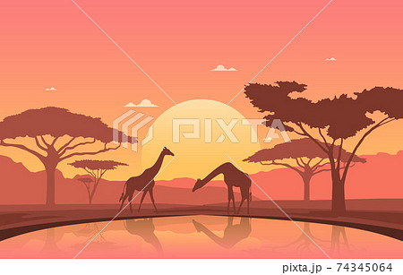 Giraffe Sunset Oasis Animal Savanna Landscape Africa Wildlife Illustration 74345064