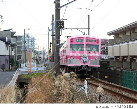 流鉄5000形 さくら号 74345182