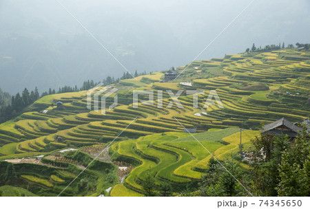 Beautiful terrace rice field with small houses in China 74345650