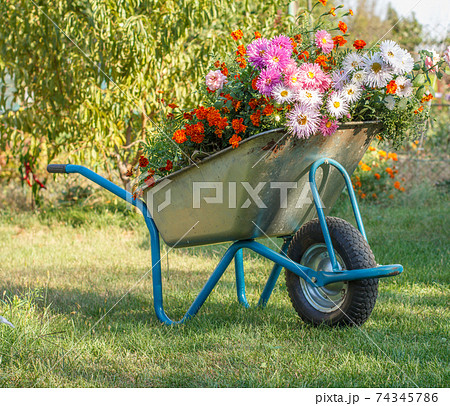 Summer garden with wheelbarrow on green grass. Summer garden with wheelbarrow on green grass. 74345786