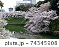 満開の千鳥が淵の桜 74345908