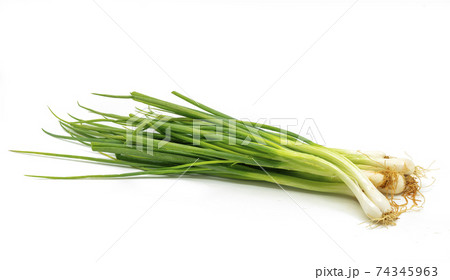 Organic fresh bunch of Green onion or spring onion or scallion with roots on white Background. Organic fresh bunch of Green onion or spring onion or scallion with roots on white Background. 74345963