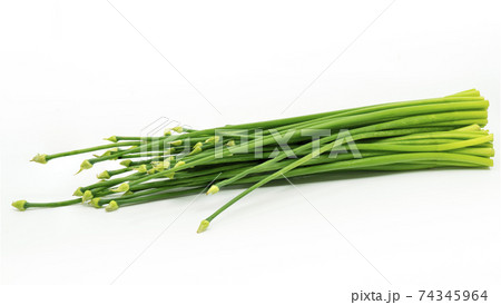 Organic Callion Flower or Allium cepa or Onion Flower Stem on white background, Asian long plant vegetable with strong aroma. 74345964