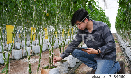 Young farmer using digital tablet checking the water system in greenhouse. 74346604
