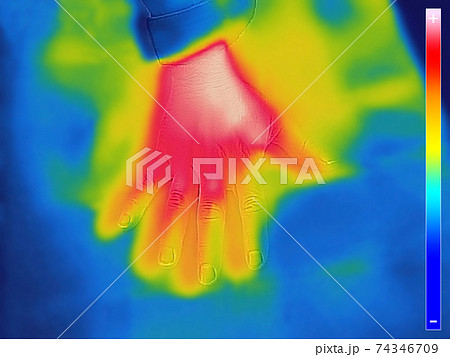 Thermal image of Human hand and finger using Thermal camera Thermal image of Human hand and finger using Thermal camera 74346709