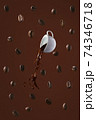 coffee splash with coffee beans 74346718