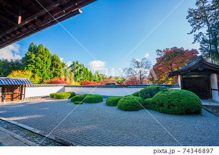 京都　正伝寺（しょうでんじ）の紅葉 74346897