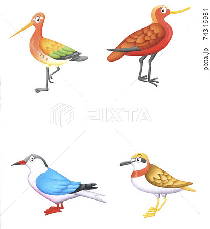 手描きの4羽のカラフルな鳥のイラスト素材