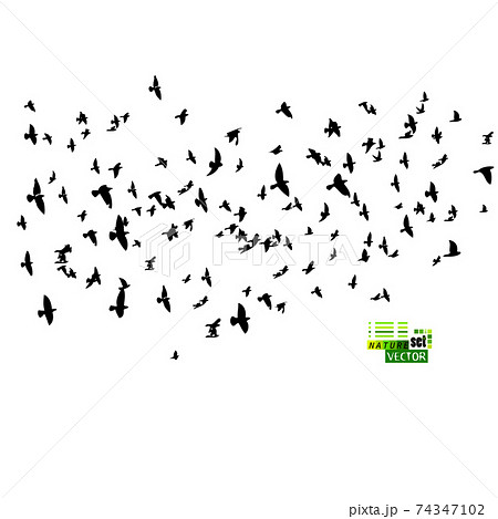 A large flock of flying birds. Vector illustration 74347102