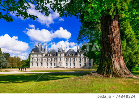 Castles of Loire valley - elegant Cheverny. Landmarks of France 74348524