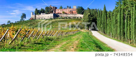 Castello di Brolio with biggest wineyards in Chianti region of Tuscany, Italy Castello di Brolio with biggest wineyards in Chianti region of Tuscany, Italy 74348554