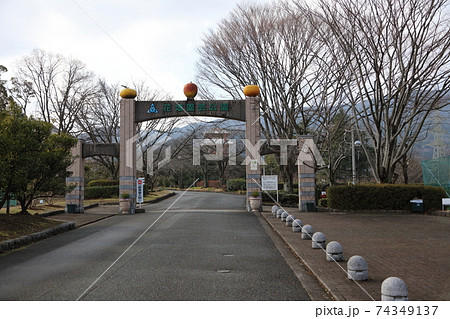 花畑園芸公園 花畑園芸公園 74349137