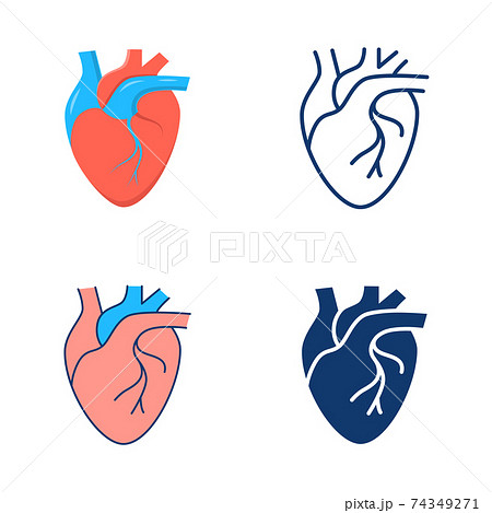 Human heart icon set in flat and line style Human heart icon set in flat and line style 74349271