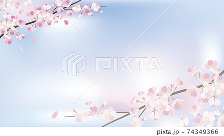 background_sakura 2_3 74349366