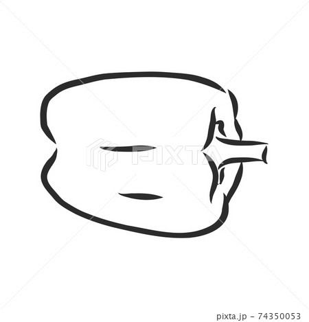 Sweet Pepper Vector Hand Drawn Vegetables のイラスト素材