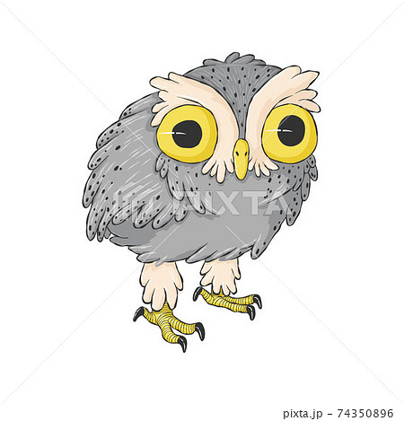 Cute crazy owl. Cartoon hand drawn clip art. Surprised night owl in child style. Cute crazy owl. Cartoon hand drawn clip art. Surprised night owl in child style. 74350896