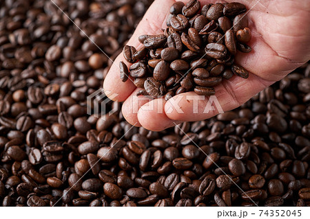 コーヒー豆を握る コーヒー豆を握る 74352045