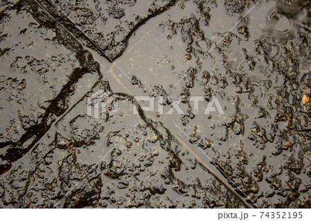 Wet stone tiles during a rainy day Wet stone tiles during a rainy day 74352195