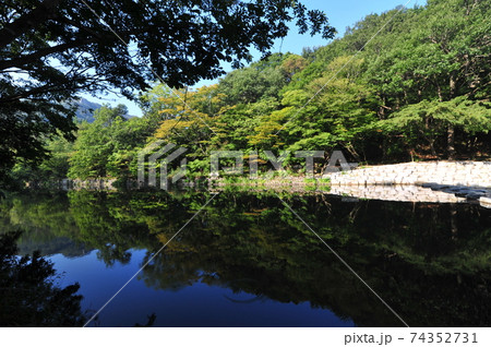 秋 風景 万 74352731