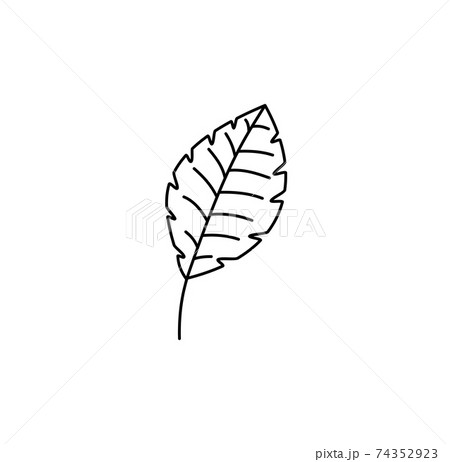 Spring Leaf Outline Vector line Icon. Doodle Spring Concept Minimal Style Illustration for kids book design or web. Element of tree logo 74352923