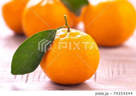 ポンカン 74354344