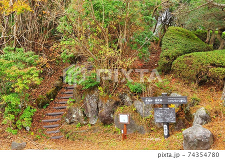 箱根町　箱根ハイキングコースの長尾峠・湖尻峠登り口 74354780