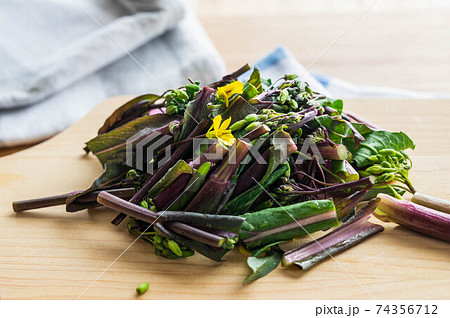 切ったコウサイタイ 切ったコウサイタイ 74356712