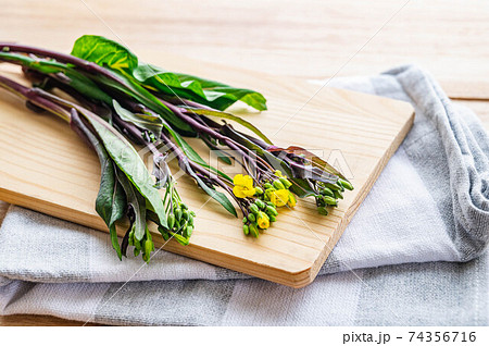 紅菜苔　こうさいたい 74356716