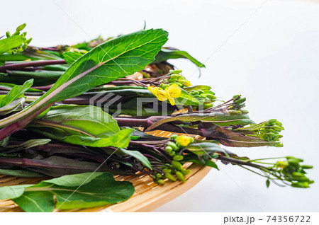 紅菜苔　こうさいたい 74356722