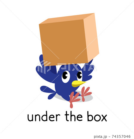 Preposition of place. Bird under the box 74357046