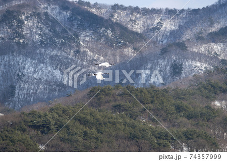 冬 学 山 74357999