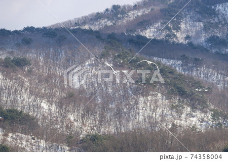 冬 学 山 74358004